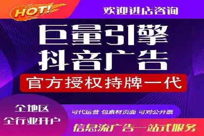 SEM推广案例：提升网站转化率策略解析